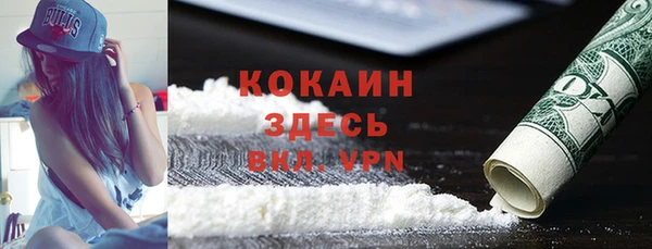 индика Горно-Алтайск