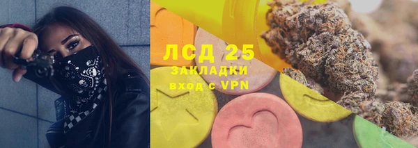 прущие крисы Горняк