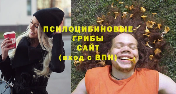 индика Горно-Алтайск