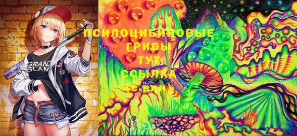 мескалин Шадринск