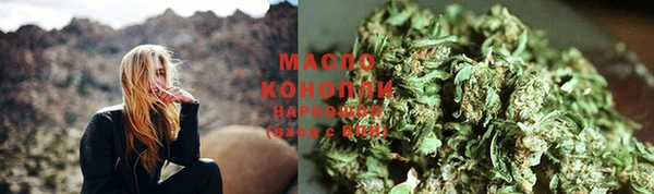 прущие крисы Горняк